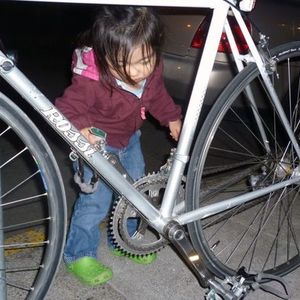 Rossi Silver, gray or bare metal