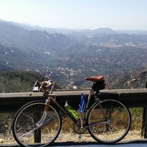 1980 Nishiki International Brown