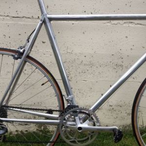 Trek Silver or Gray