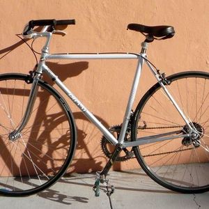 Rossi Silver, gray or bare metal