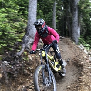 2018 GT Bicycles DH Fitz Fury Green