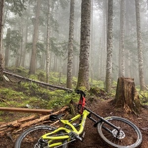 2018 GT Bicycles DH Fitz Fury Green