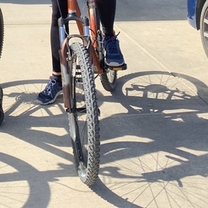 2014 Trek Orange