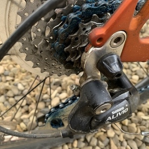 Trek Orange