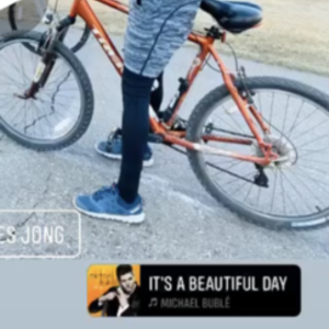 Trek Orange