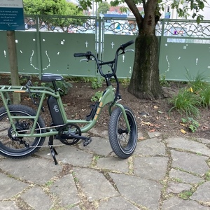 2021 Rad Power Bikes Radrunner Green