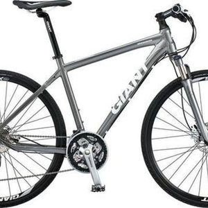 2013 Giant Roam XR2 Silver, gray or bare metal