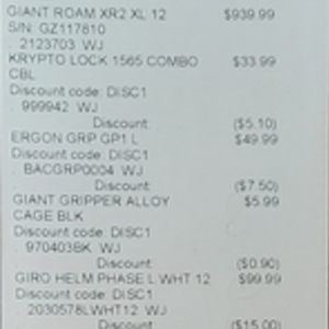 2013 Giant Roam XR2 Silver, gray or bare metal