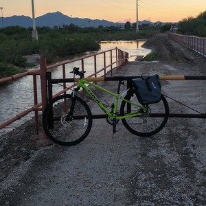 Trek 8.3 DS Green