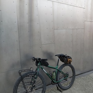 2015 Surly Krampus Green