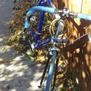 Fuji Uknown Blue