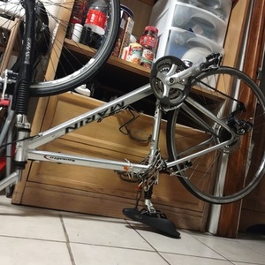 Marin Bikes Sausalito Silver, gray or bare metal