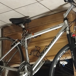 Marin Bikes Sausalito Silver, gray or bare metal