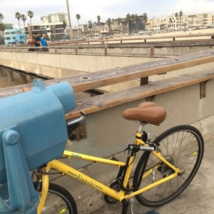 2016 Bianchi Cortina Yellow or Gold