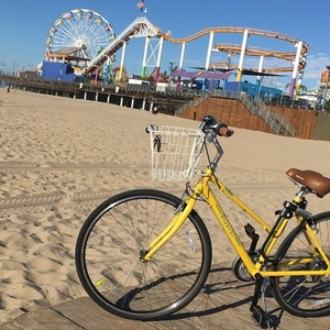 2016 Bianchi Cortina Yellow or Gold