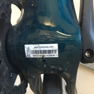 2021 Trek Domane Green and Black