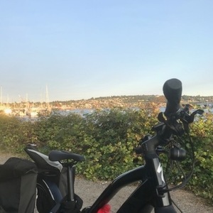 2020 Specialized Vado Black