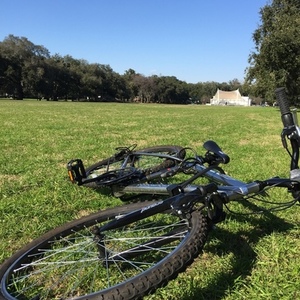 Roadmaster Silver or Gray and Black