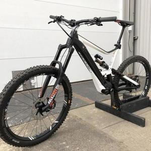 2020 BULLS Bikes E Bike White