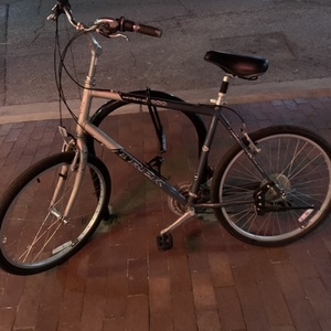Trek Black