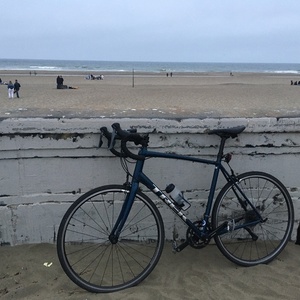 2021 Trek Domane AL 2 Blue