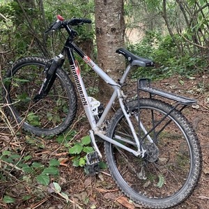 2001 Diamondback Topanga Silver, gray or bare metal