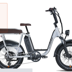 2021 Rad Power Bikes Step thru Silver, gray or bare metal