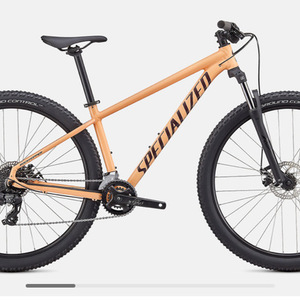 2019 Specialized Orange and Black