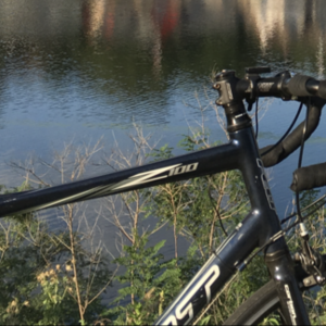 2008 Felt Z100 Blue