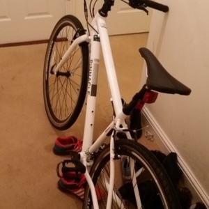 Pinnacle Pinnacle Lithium (Small, Male, 15 inch) White