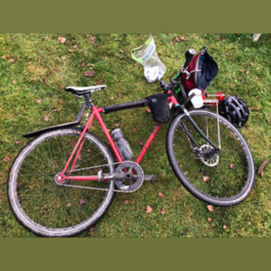 2021 Surly Steamroller Red, Black, and Purple