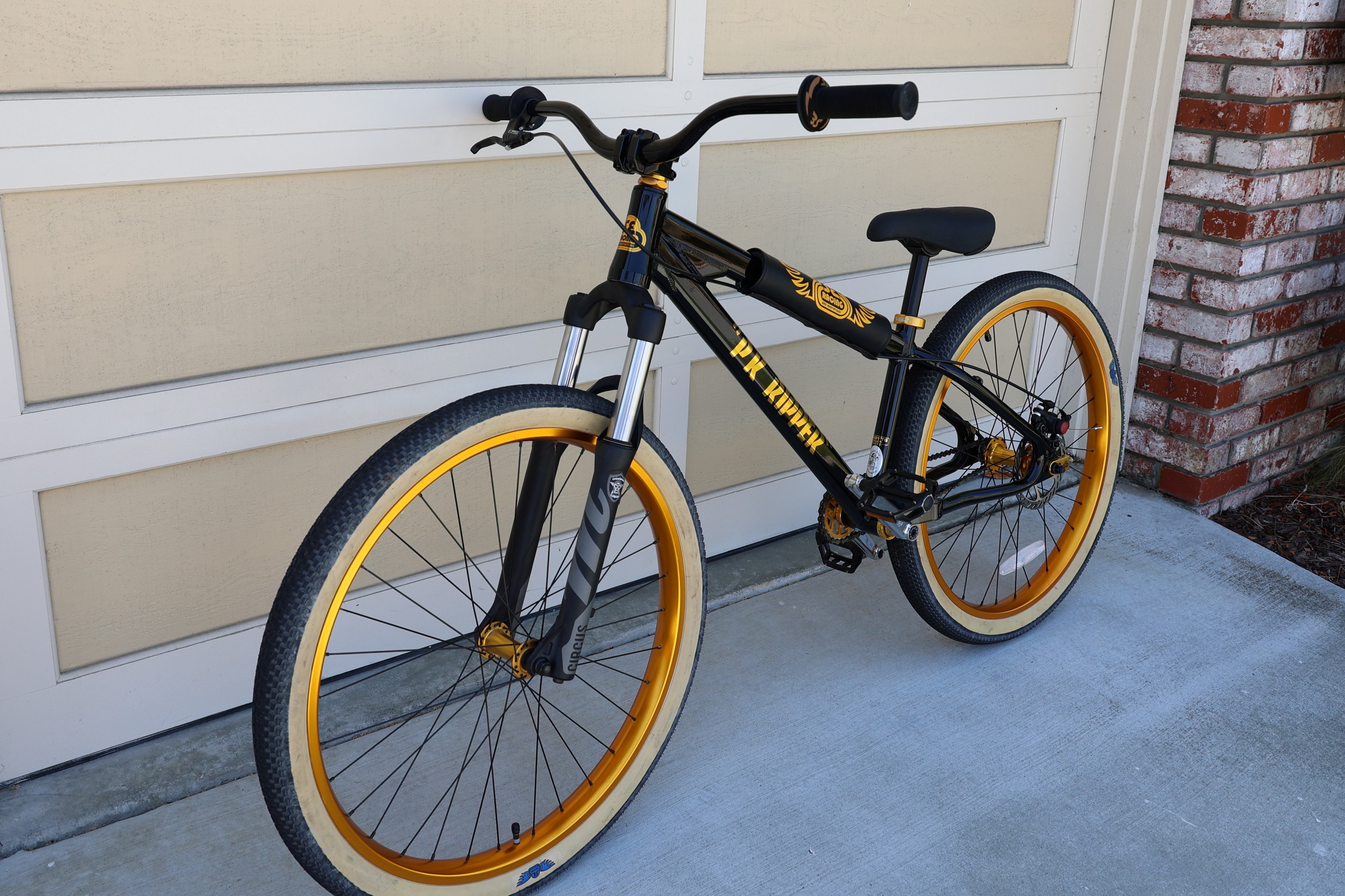 2020 SE Bikes DJ Ripper