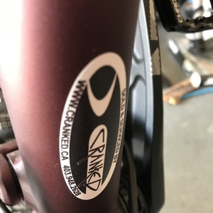 2021 Specialized Status 160 Red and Black