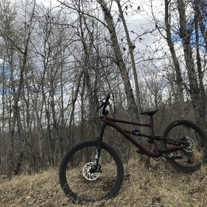 2021 Specialized Status 160 Red and Black