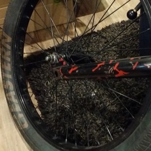 2020 Fit bike Co. Bmx Black and Red