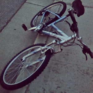 Giant Boulder SE w Silver or Gray and Teal