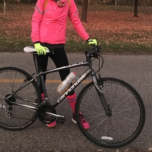 2015 Cannondale Quick Silver, gray or bare metal