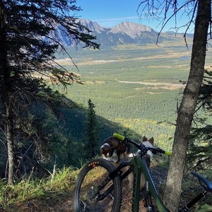 2018 Santa Cruz Bronson Green