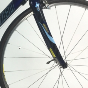 2007 Specialized Ruby Comp Triple Blue