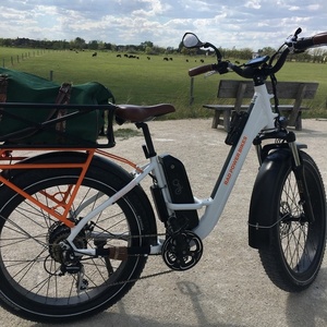 2021 Rad Power Bikes Rover Step-through White