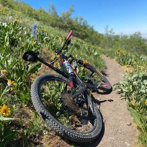2017 Trek Top Fuel 9.9 Black and Red