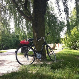 2012 Fuji Crosstown 3.0 Ls Black