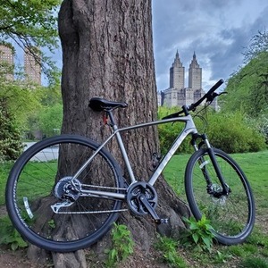 2021 Trek XL Silver, gray or bare metal