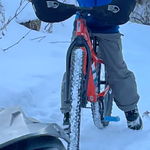 2020 Trek Roscoe24 Orange
