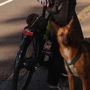 2012 Vortrieb mountain bike frame Black