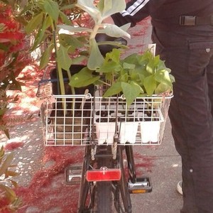 2012 Vortrieb mountain bike frame Black