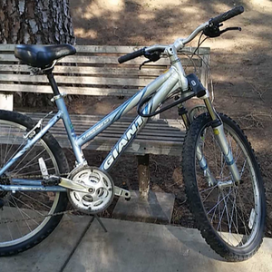 Giant Boulder SE w Silver or Gray and Teal