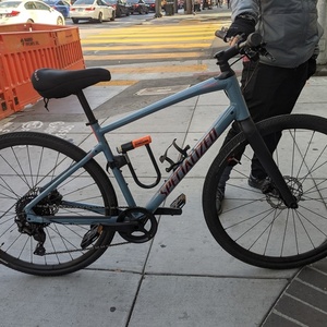 2020 Specialized SIRRUS X 4.0 Silver, gray or bare metal