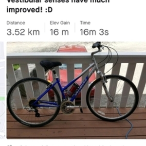 Specialized Crossroads Elite Wmn Silver, gray or bare metal and Blue