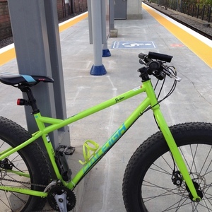 2018 Raleigh Pardner Green